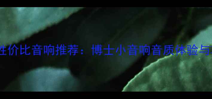 图片 度高性价比音响推荐：博士小音响音质体验与功效2