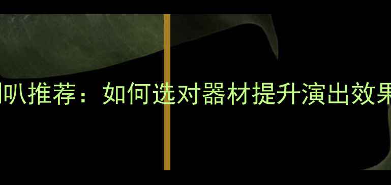 图片 弹唱音箱全频喇叭推荐：如何选对器材提升演出效果？附避坑指南2