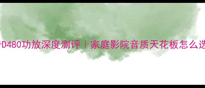 图片 徕卡D480功放深度测评｜家庭影院音质天花板怎么选？1