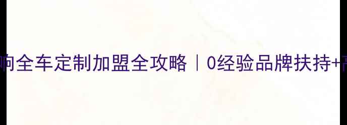 图片 惠威汽车音响全车定制加盟全攻略｜0经验品牌扶持+高利润方案2
