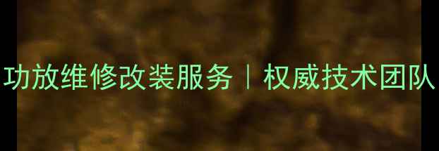 图片 成都专业汽车音响功放维修改装服务｜权威技术团队｜24小时应急响应