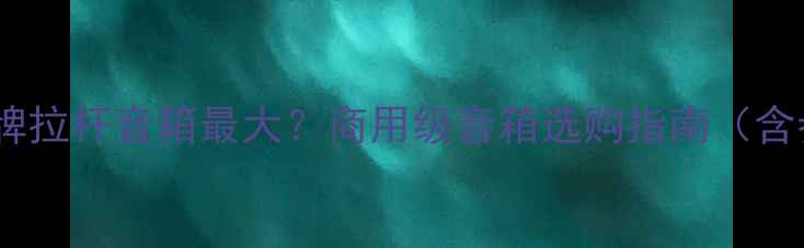 图片 成都哪个品牌拉杆音箱最大？商用级音箱选购指南（含参数对比）2