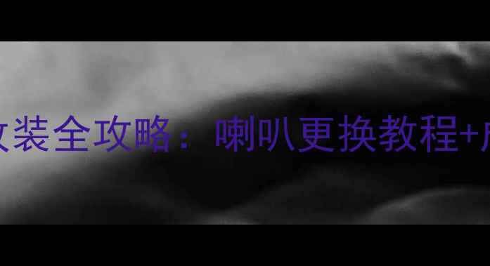 图片 斯柯达新明锐音响改装全攻略：喇叭更换教程+成本预算+注意事项2