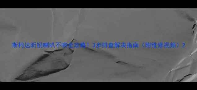 图片 斯柯达昕锐喇叭不响全攻略！3步排查解决指南（附维修视频）2