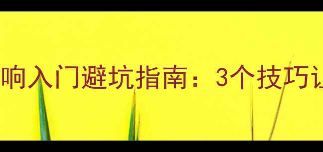 图片 新手必看！丹拿音响入门避坑指南：3个技巧让你秒变HiFi大神2