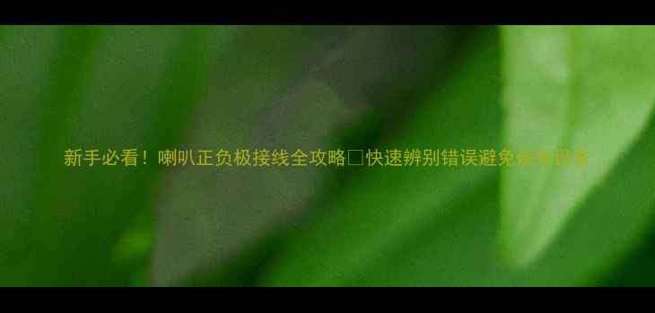 图片 新手必看！喇叭正负极接线全攻略✨快速辨别错误避免烧毁设备