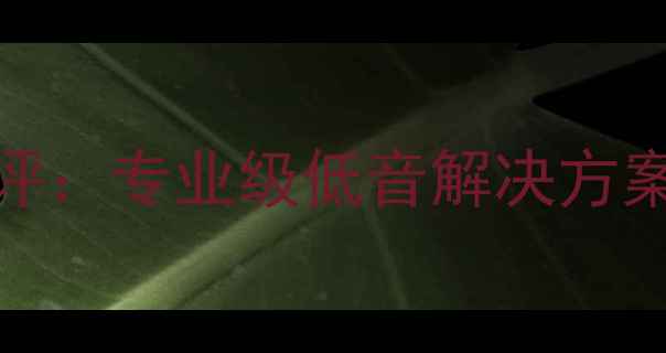 图片 曼斯特12寸超低音喇叭深度测评：专业级低音解决方案（震撼音效实测+选购指南）2