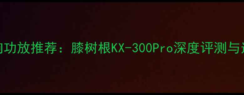 图片 最佳音响功放推荐：膝树根KX-300Pro深度评测与选购指南