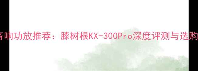 图片 最佳音响功放推荐：膝树根KX-300Pro深度评测与选购指南1
