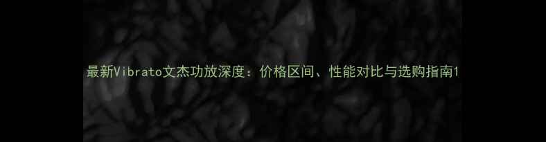图片 最新Vibrato文杰功放深度：价格区间、性能对比与选购指南1