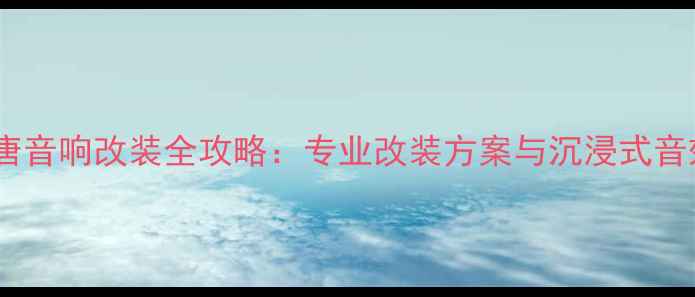 图片 比亚迪唐音响改装全攻略：专业改装方案与沉浸式音效体验1