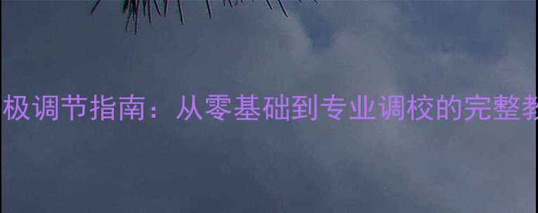 图片 汽车音响两路功放终极调节指南：从零基础到专业调校的完整教程（附详细图解）2