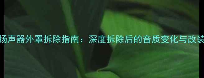 图片 汽车音响扬声器外罩拆除指南：深度拆除后的音质变化与改装注意事项