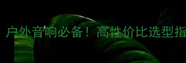 图片 流动功放电源插座推荐：户外音响必备！高性价比选型指南+避坑攻略（附清单）