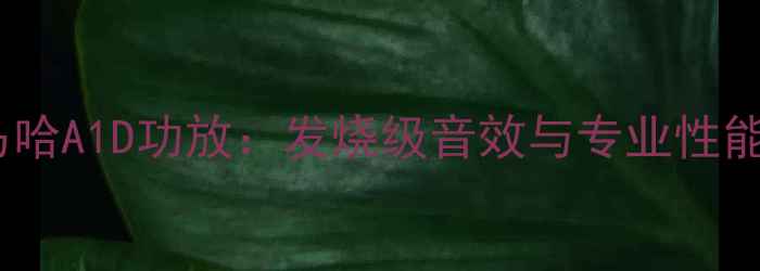 图片 深度评测雅马哈A1D功放：发烧级音效与专业性能的巅峰之作2