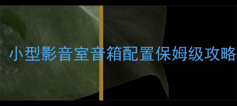 图片 百元预算也能逆袭！小型影音室音箱配置保姆级攻略｜立体声环绕声全2