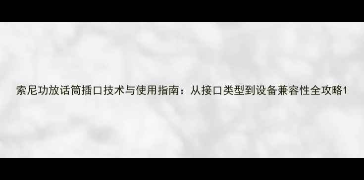 图片 索尼功放话筒插口技术与使用指南：从接口类型到设备兼容性全攻略1