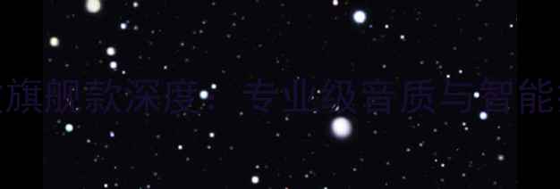 图片 美国ARC数字功放旗舰款深度：专业级音质与智能技术的完美融合2