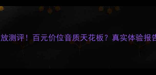 图片 美国AR功放测评！百元价位音质天花板？真实体验报告来了🎵2