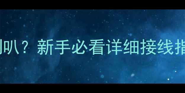 图片 胆机功放如何连接喇叭？新手必看详细接线指南（附避坑要点）1