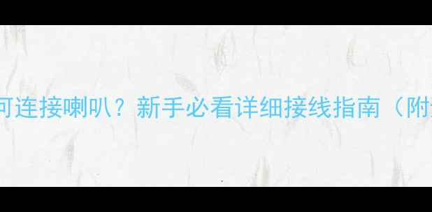 图片 胆机功放如何连接喇叭？新手必看详细接线指南（附避坑要点）2