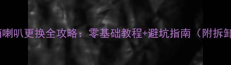 图片 蓝牙音箱喇叭更换全攻略：零基础教程+避坑指南（附拆卸图解）1