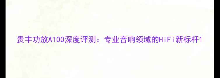 图片 贵丰功放A100深度评测：专业音响领域的HiFi新标杆1