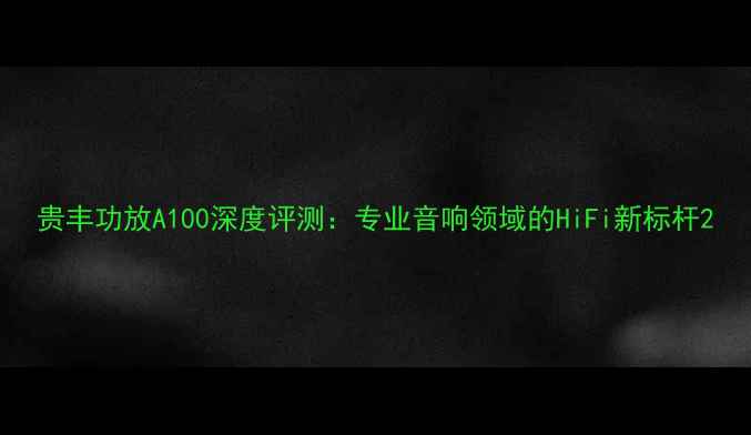 图片 贵丰功放A100深度评测：专业音响领域的HiFi新标杆2
