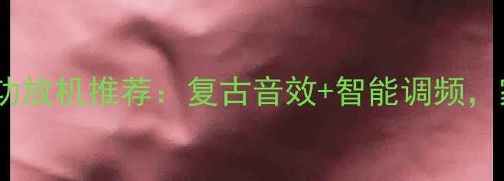 图片 选购指南带收音机的功放机推荐：复古音效+智能调频，家庭影音娱乐新选择1