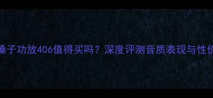 图片 金嗓子功放406值得买吗？深度评测音质表现与性价比