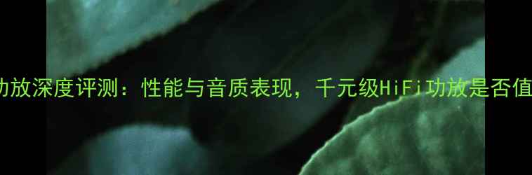 图片 钟神99D功放深度评测：性能与音质表现，千元级HiFi功放是否值得入手？