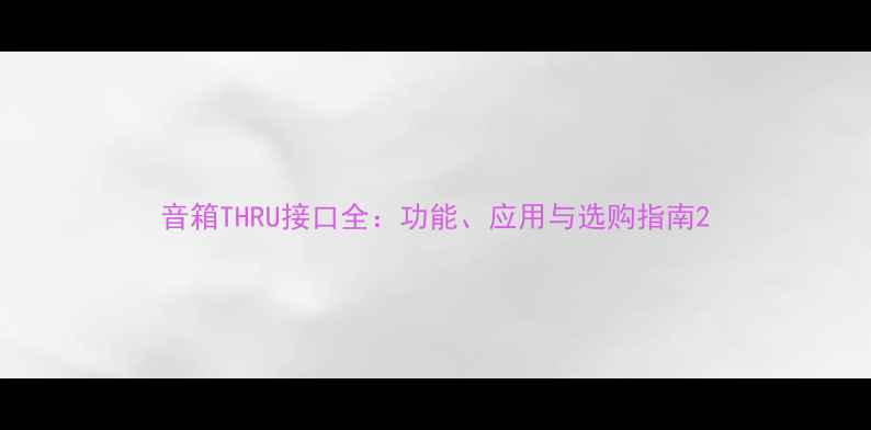 图片 音箱THRU接口全：功能、应用与选购指南2