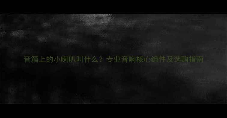 图片 音箱上的小喇叭叫什么？专业音响核心组件及选购指南