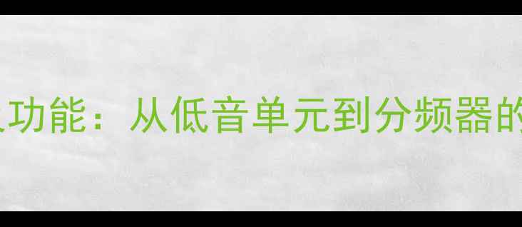 图片 音箱组件英文全称及功能：从低音单元到分频器的专业术语对照指南2