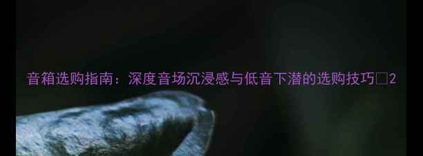 图片 音箱选购指南：深度音场沉浸感与低音下潜的选购技巧🎵2