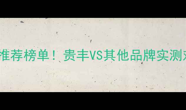 图片 高性价比前级功放推荐榜单！贵丰VS其他品牌实测对比，附避坑指南2