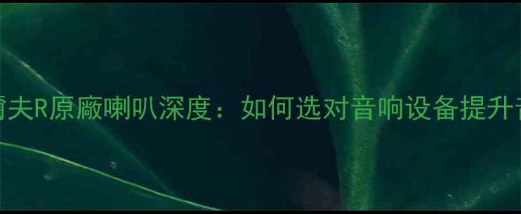 图片 高爾夫R原廠喇叭深度：如何选对音响设备提升音质