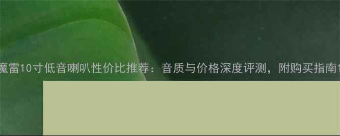 图片 魔雷10寸低音喇叭性价比推荐：音质与价格深度评测，附购买指南1
