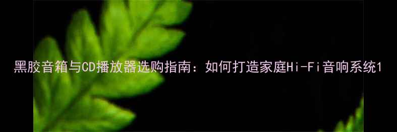 图片 黑胶音箱与CD播放器选购指南：如何打造家庭Hi-Fi音响系统1