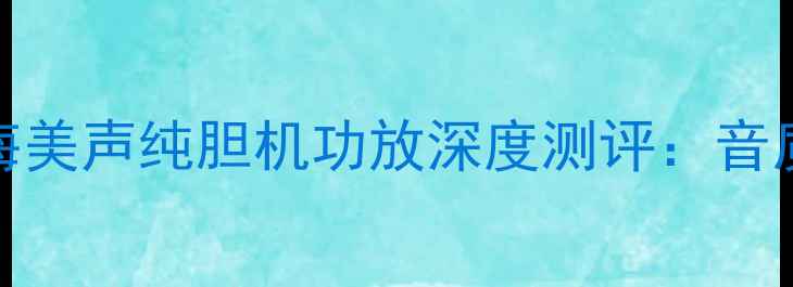 图片 🎵HiFi发烧友必看！珠海美声纯胆机功放深度测评：音质、性价比、使用体验全