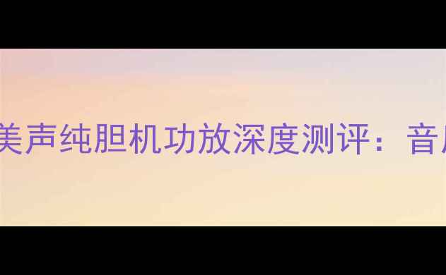 图片 🎵HiFi发烧友必看！珠海美声纯胆机功放深度测评：音质、性价比、使用体验全1