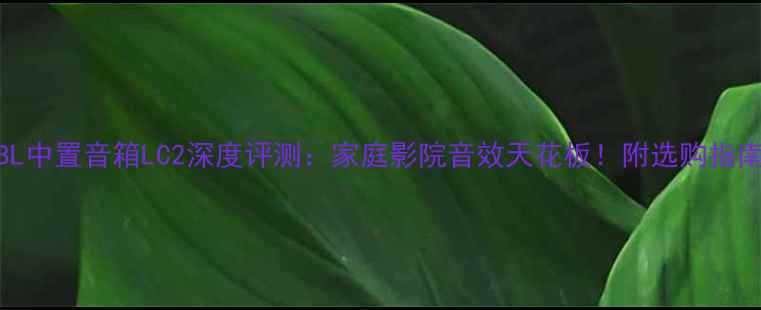 图片 🎵JBL中置音箱LC2深度评测：家庭影院音效天花板！附选购指南🎯2