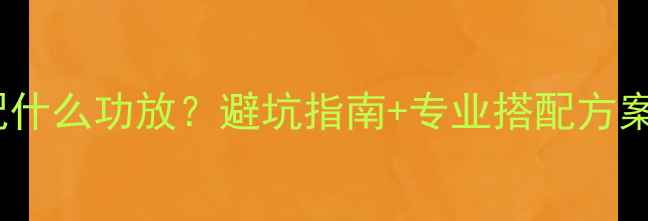 图片 🎵两分频喇叭配什么功放？避坑指南+专业搭配方案，新手必看！2