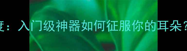 图片 🎶科普兰401功放深度：入门级神器如何征服你的耳朵？｜发烧友必看攻略1