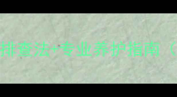 图片 🔊功放锁定没声音？3步排查法+专业养护指南（附常见品牌故障案例）2