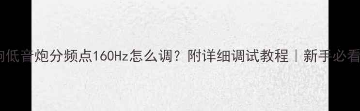 图片 🔊音响低音炮分频点160Hz怎么调？附详细调试教程｜新手必看指南1