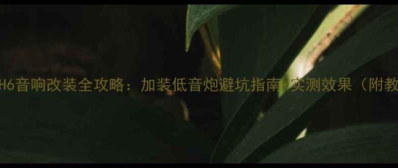 图片 🔥哈佛H6音响改装全攻略：加装低音炮避坑指南+实测效果（附教程）🔥