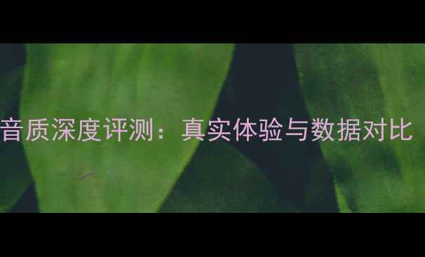 图片 🔥尊宝音箱HIFI音质深度评测：真实体验与数据对比（附选购指南）1