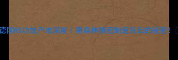 图片 🔥德国RS功放产地深度｜黑森林精密制造背后的秘密！🔥2