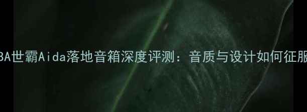 图片 🔥意大利SIBA世霸Aida落地音箱深度评测：音质与设计如何征服你的客厅✨